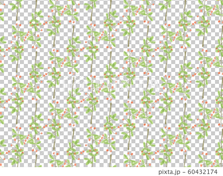 Umeodoroki background diagonal white background 60432174