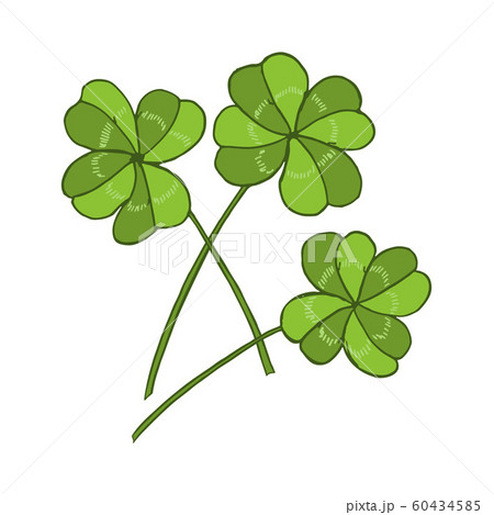 Lucky four leaf green clover Lucky four leaf green clover 60434585