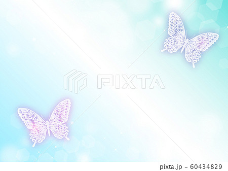 光　プリズム　背景　蝶々 60434829