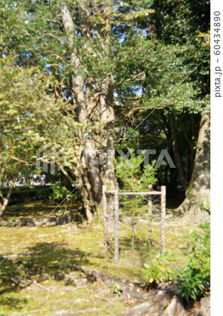 神苑 伊勢神宮 内宮 神苑 伊勢神宮 内宮 60434890