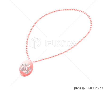 手元供養 ネックレス ペット 60435244