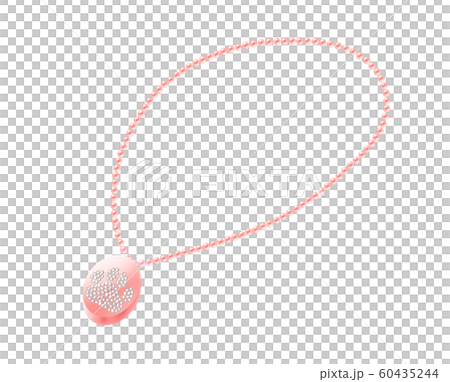 手元供養 ネックレス ペット 60435244