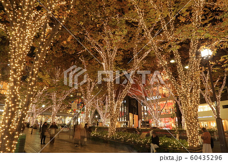 表参道 冬のイルミネーション ( 東京都 港区 12月 ) 表参道 冬のイルミネーション ( 東京都 港区 12月 ) 60435296