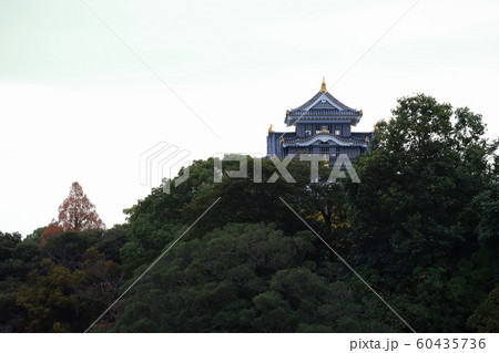 岡山城 60435736