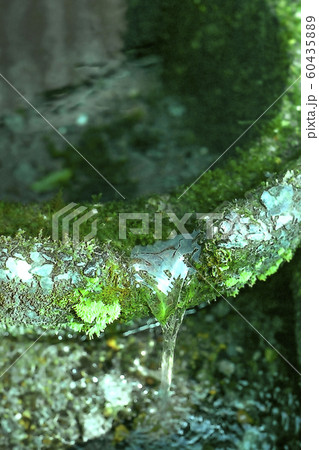 壺池　川端　生水の郷 60435889