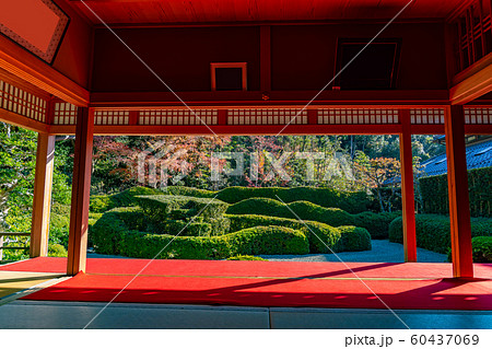 滋賀県 紅葉の大池寺 枯山水の蓬莱庭園 滋賀県 紅葉の大池寺 枯山水の蓬莱庭園 60437069