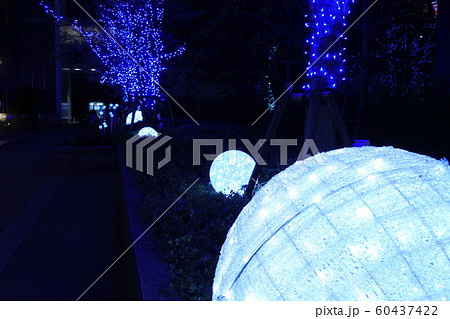 イルミネーション 60437422