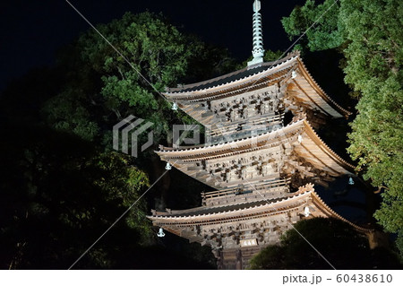 ライトアップ 日本建築 ライトアップ 日本建築 60438610