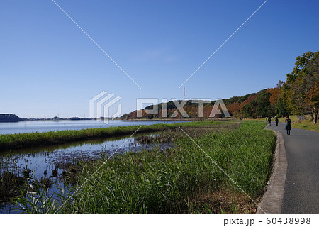 佐鳴湖の遊歩道 佐鳴湖の遊歩道 60438998