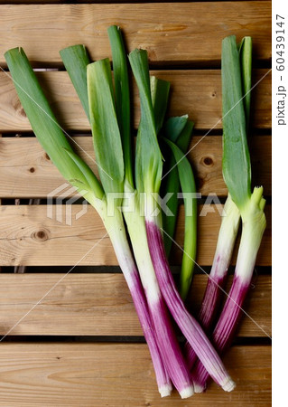 赤ネギ 60439147