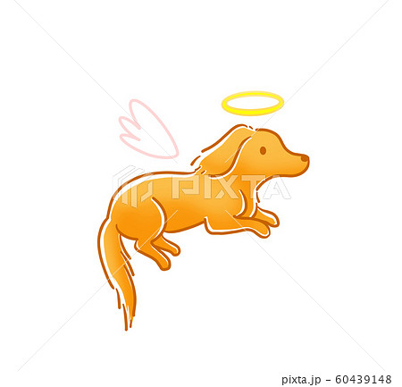 犬 天使 犬 天使 60439148