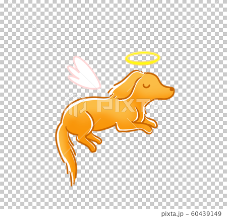 犬 天使 60439149