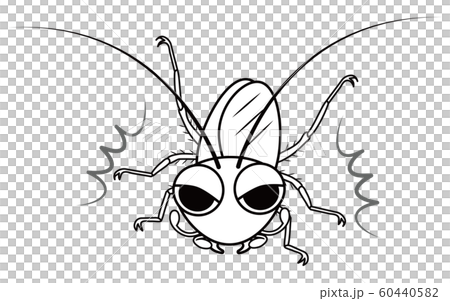 蟑螂特徵矢量圖 60440582