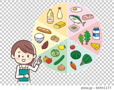六大栄養素　栄養士 60441177