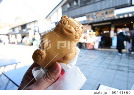 再建 熊本城と熊本旅 再建 熊本城と熊本旅 60441360