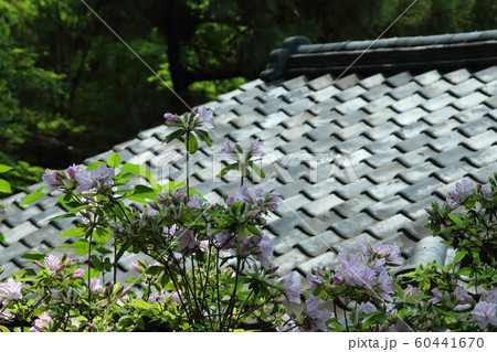 建築・屋根 建築・屋根 60441670