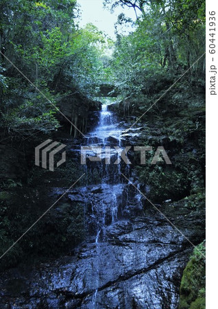 龍蔵寺 滝 龍蔵寺 滝 60441936