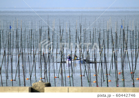 大牟田市 三池港 海苔船、 大牟田市 三池港 海苔船、 60442746