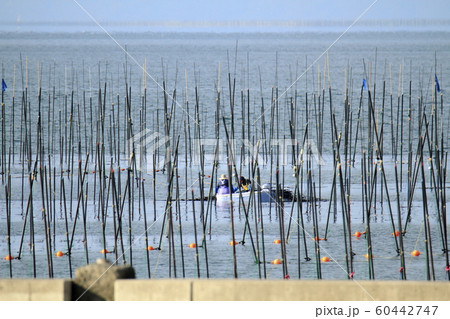 大牟田市 三池港 海苔船、 大牟田市 三池港 海苔船、 60442747
