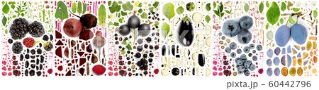 Blue and Black Fruit and Vegetable Slice and Leaf 60442796