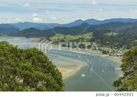 ニュージーランド タイルア パク山の山頂からの風景の写真素材