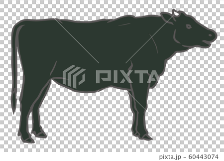 Illustration of a black cow 60443074