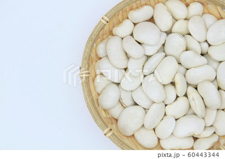 白花豆 白花豆 60443344