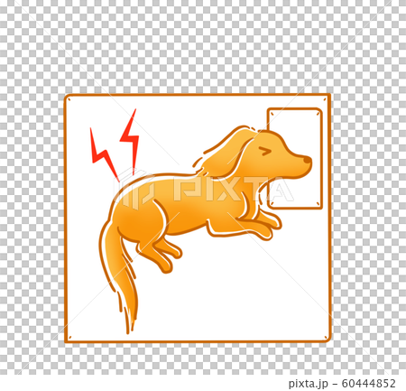 犬 看病 入院 犬 看病 入院 60444852