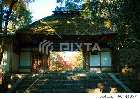 法然院の秋　2019 60444957