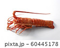 茹で伊勢海老 60445178