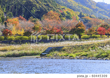 秋の保津川下り 60445309