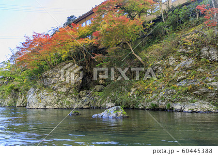 秋の保津川下り 60445388