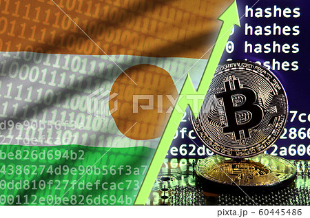 Niger flag and rising green arrow on bitcoin 60445486