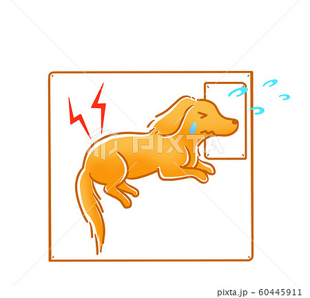 入院 犬 入院 犬 60445911