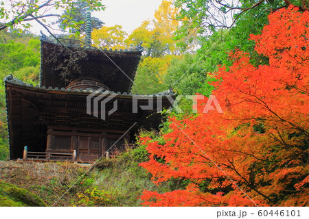 【香川県】 四国霊場 第71番札所 「弥谷寺」 多宝塔と黄葉 【香川県】 四国霊場 第71番札所 「弥谷寺」 多宝塔と黄葉 60446101