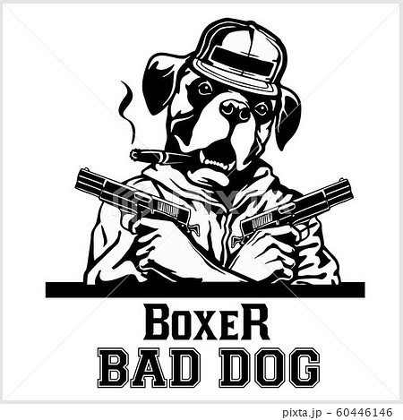 Boxer with two guns and cigar - Boxer gangster. Head of angry Boxer 60446146