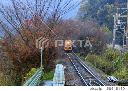 嵯峨嵐山トロッコ列車 60446150