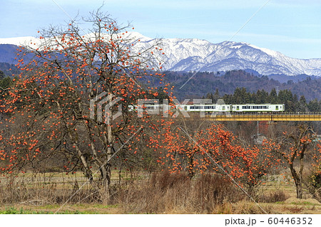 晩秋の磐越西線と雪化粧の飯豊連峰 60446352
