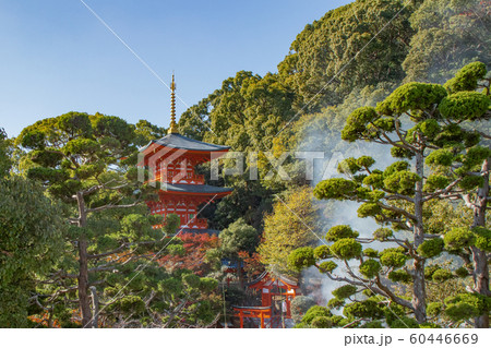 神戸・紅葉の須磨寺・三重塔・火祭り 神戸・紅葉の須磨寺・三重塔・火祭り 60446669