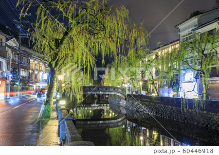城崎温泉 夜景 60446918