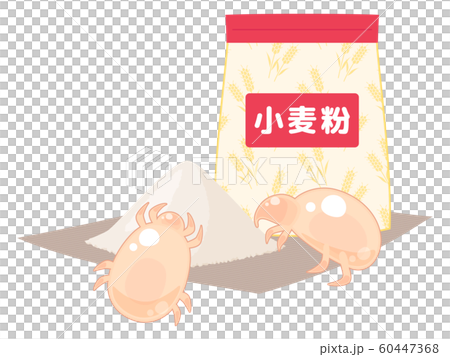 Illustration of a mite _ flour 60447368