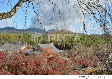 上から天龍寺　秋 60447487