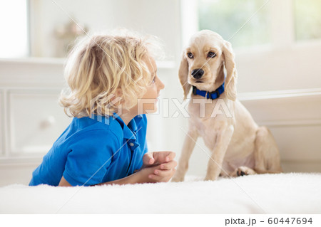 Child playing with dog. Kids play with puppy. Child playing with dog. Kids play with puppy. 60447694