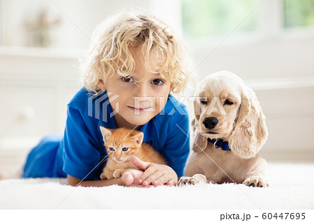 Child, dog and cat. Kids play with puppy, kitten. Child, dog and cat. Kids play with puppy, kitten. 60447695