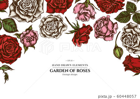 Floral design with colored roses Floral design with colored roses 60448057