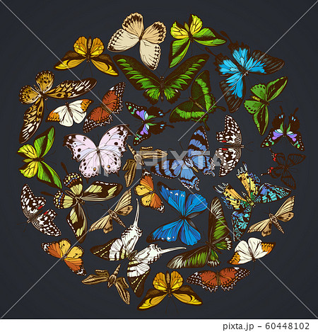 Round floral design on dark background with papilio ulysses, morpho menelaus, graphium androcles, morpho rhetenor cacica, papilio demoleus, cethosia biblis, papilio antimachus, alcides agathyrsus 60448102