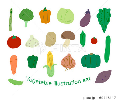 身近な野菜イラストセットのイラスト素材 [60448117] - Pixta
