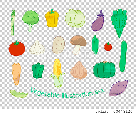 身近な野菜イラストセットのイラスト素材