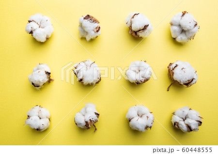 cotton flowers on yellow 60448555