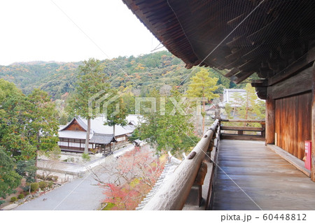 京都 南禅寺の秋 京都 南禅寺の秋 60448812